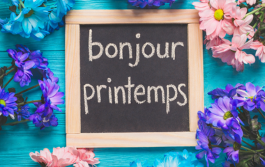 des fleurs sur un fond bleu, avec un écriteau qur lequel ile st écrit bonjour printemps