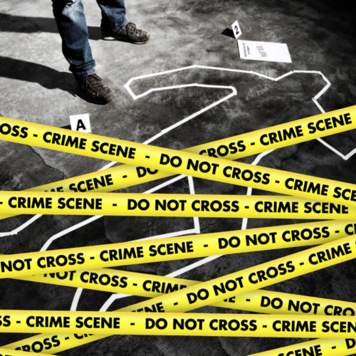 2025 11 Murder Party