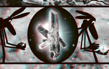 image en 3d extraite de l'album Jeanjambe